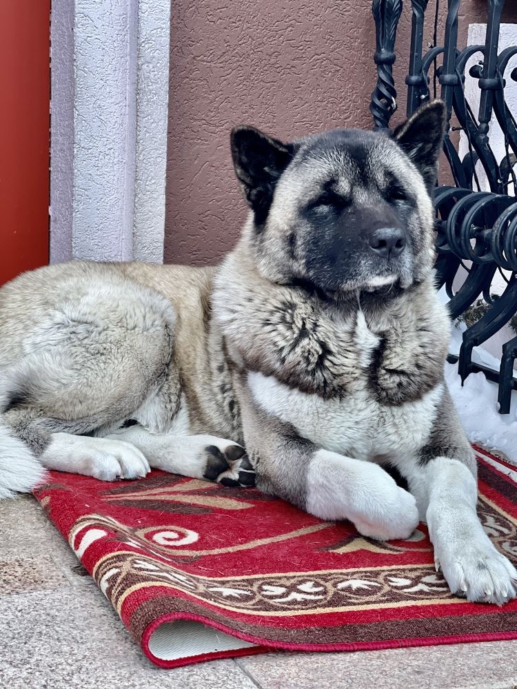 Photograph by SergioSteel