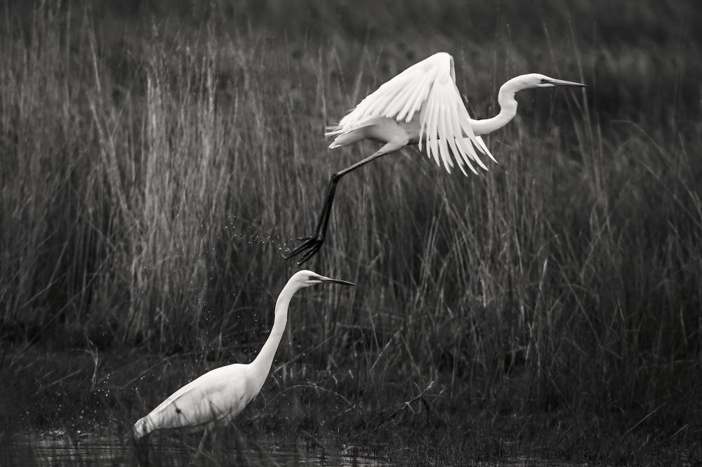 Photograph by Борис Пирог