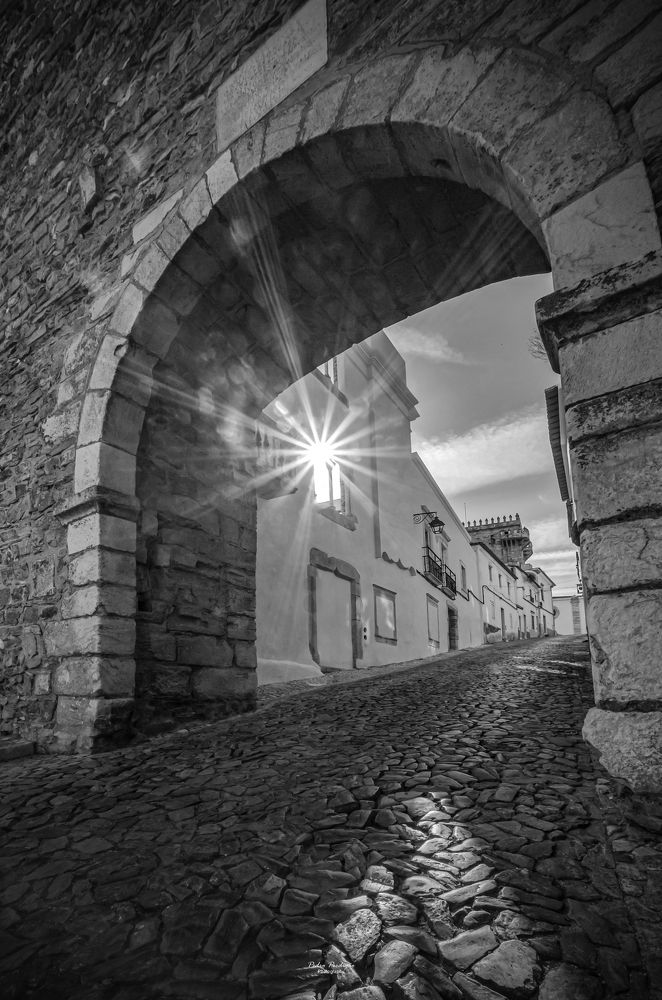 Photograph by Pedro Manuel Perdigão