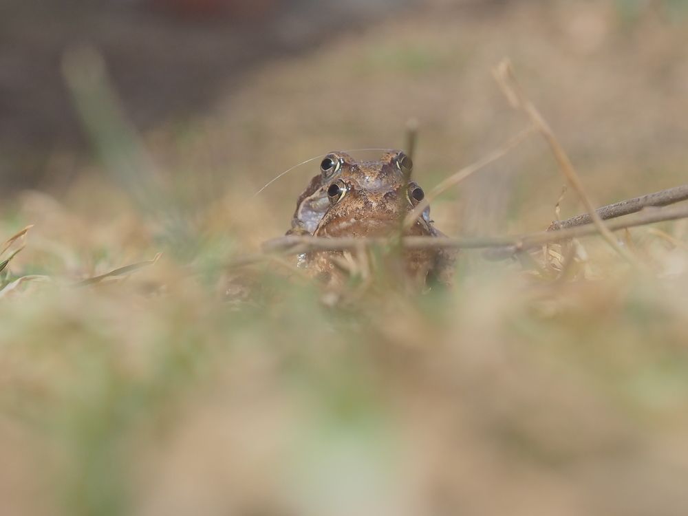 Photograph by Надежда Яговкина