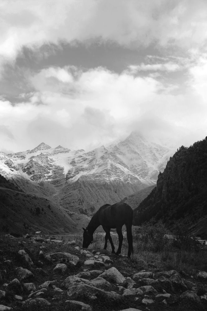 Photograph by Андрей Барабанов