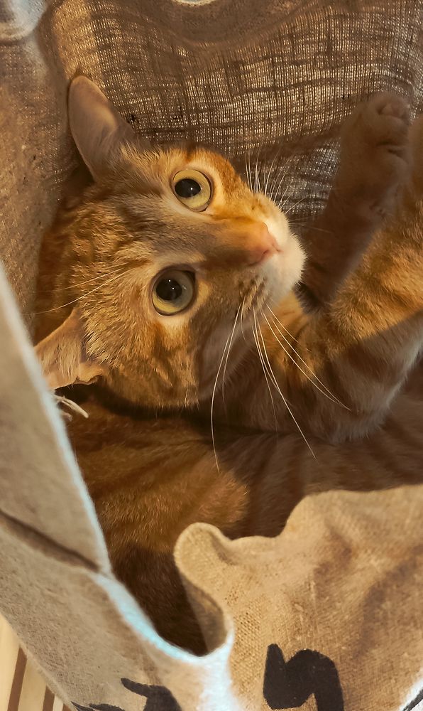 Photograph by Алеся Писнова