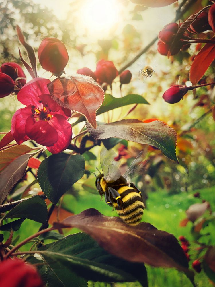 Photograph by Валентина Старикова