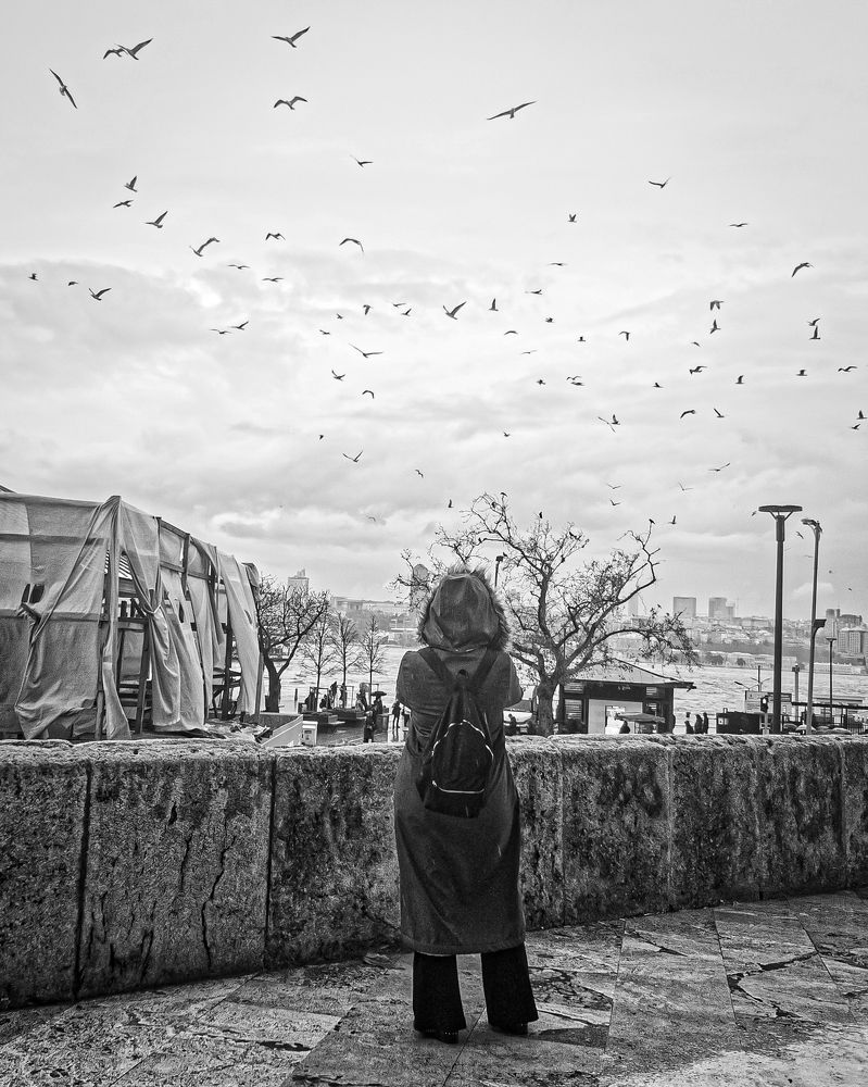 Фотография автора Omer Erdogan