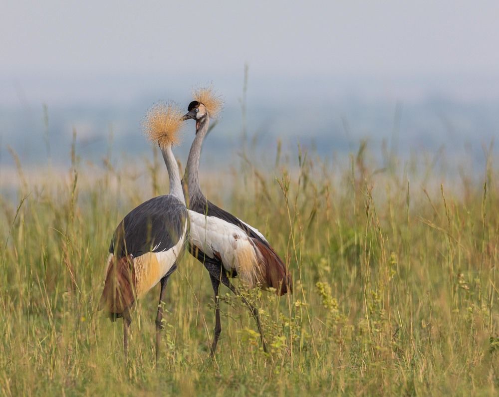 Photograph by Илья Поляк