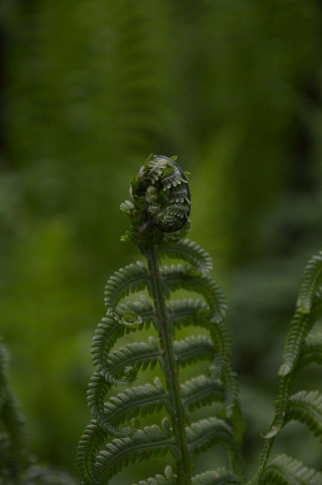 Photograph by Ольга Шевцова