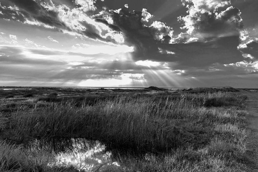 Photograph by Владимир Ушаров