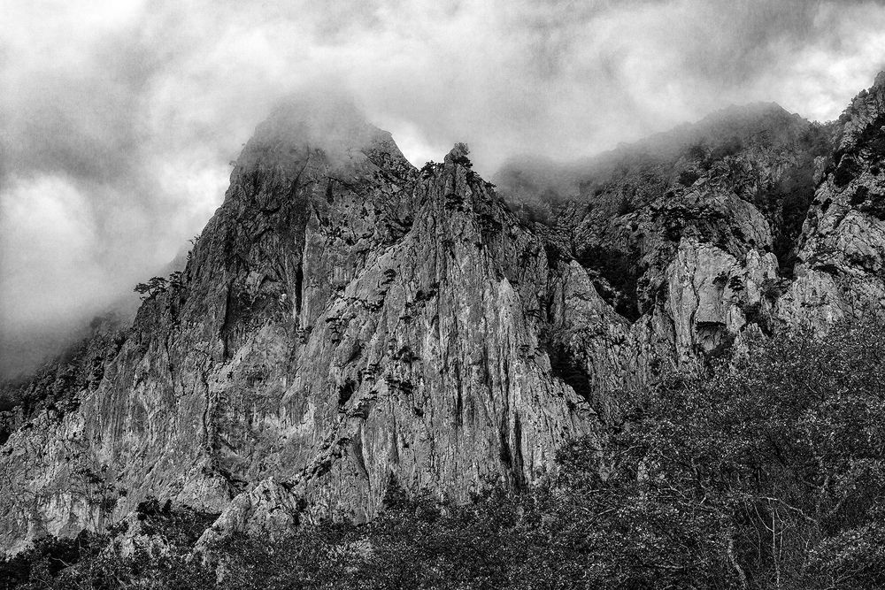 Photograph by Владимир Ушаров