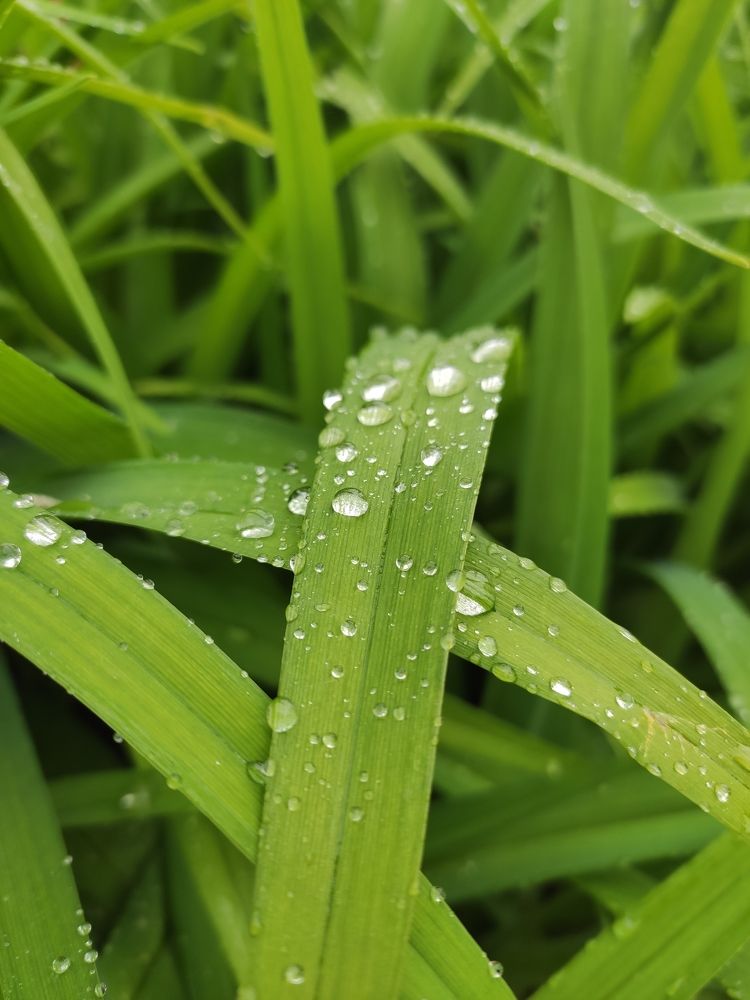 Photograph by Ирина Сидорова