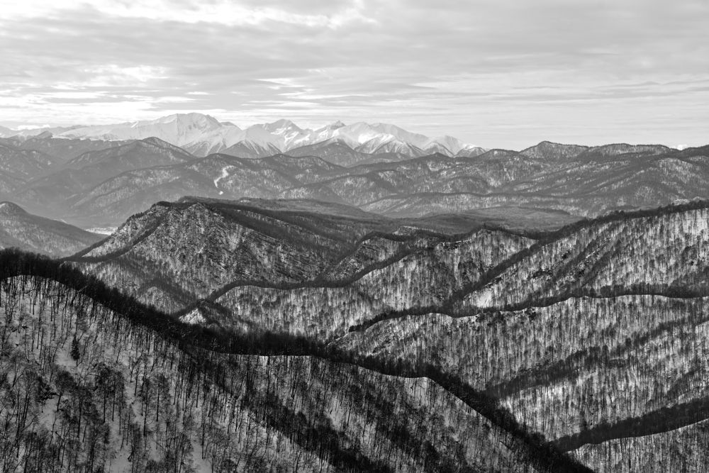 Зимняя графика