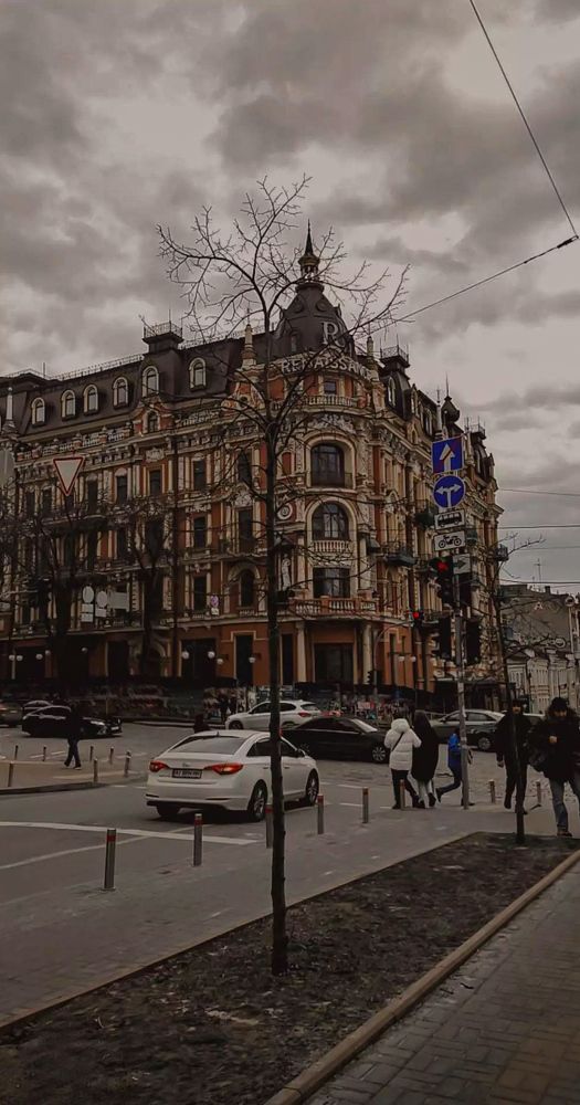 Фотография автора Катерина