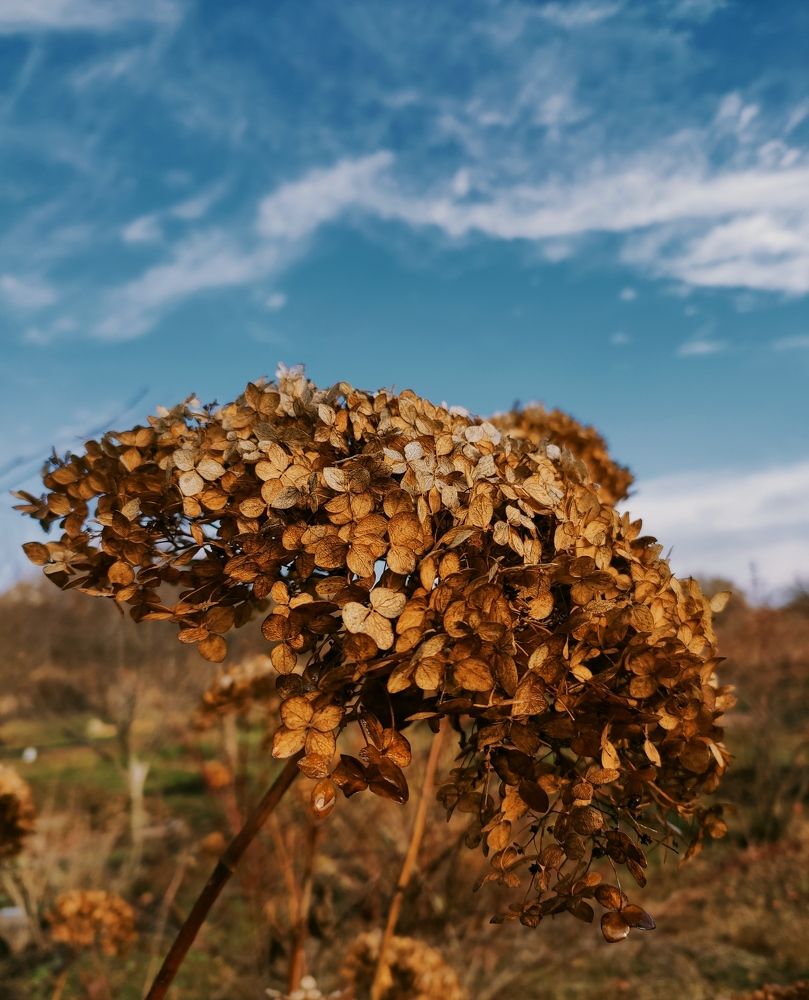 Photograph by Ирина Сидорова