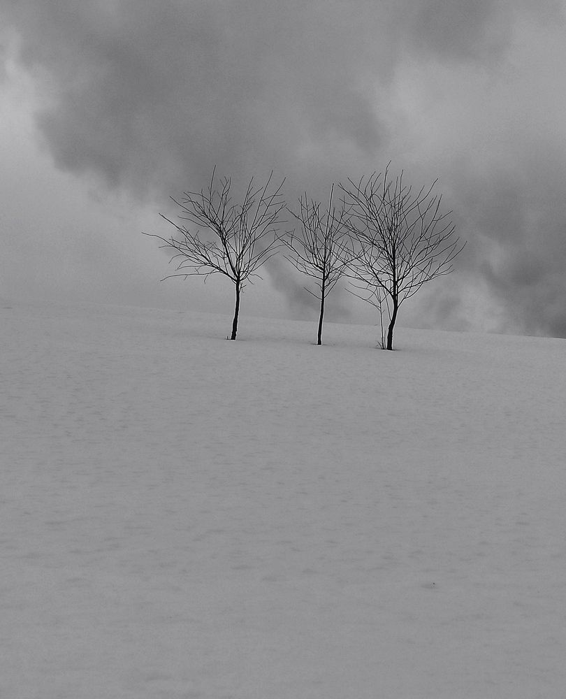 Photograph by Ирина Сидорова