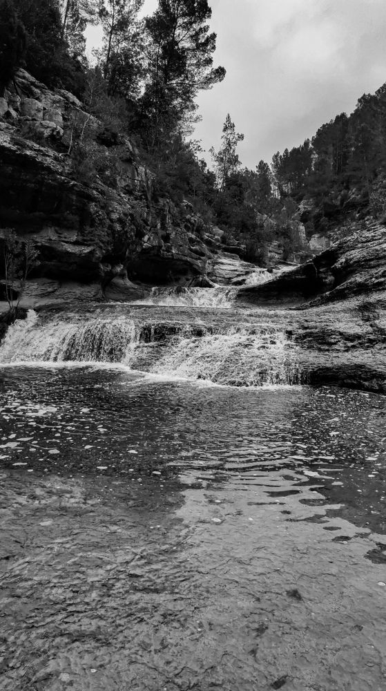 Фотография автора Катерина