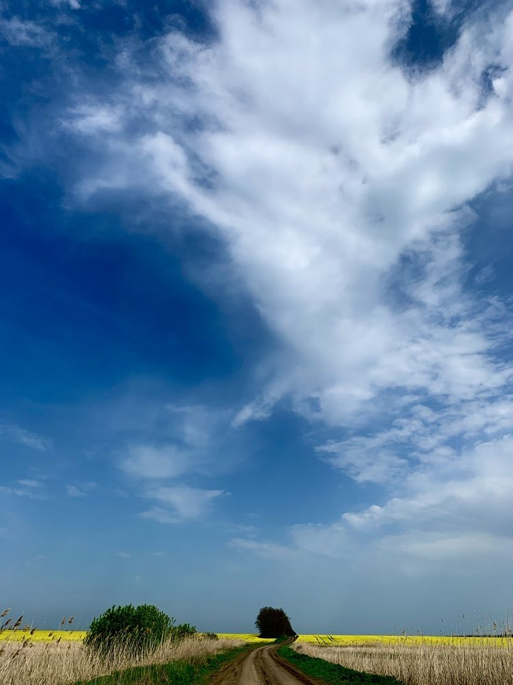 Photograph by Александр Белов