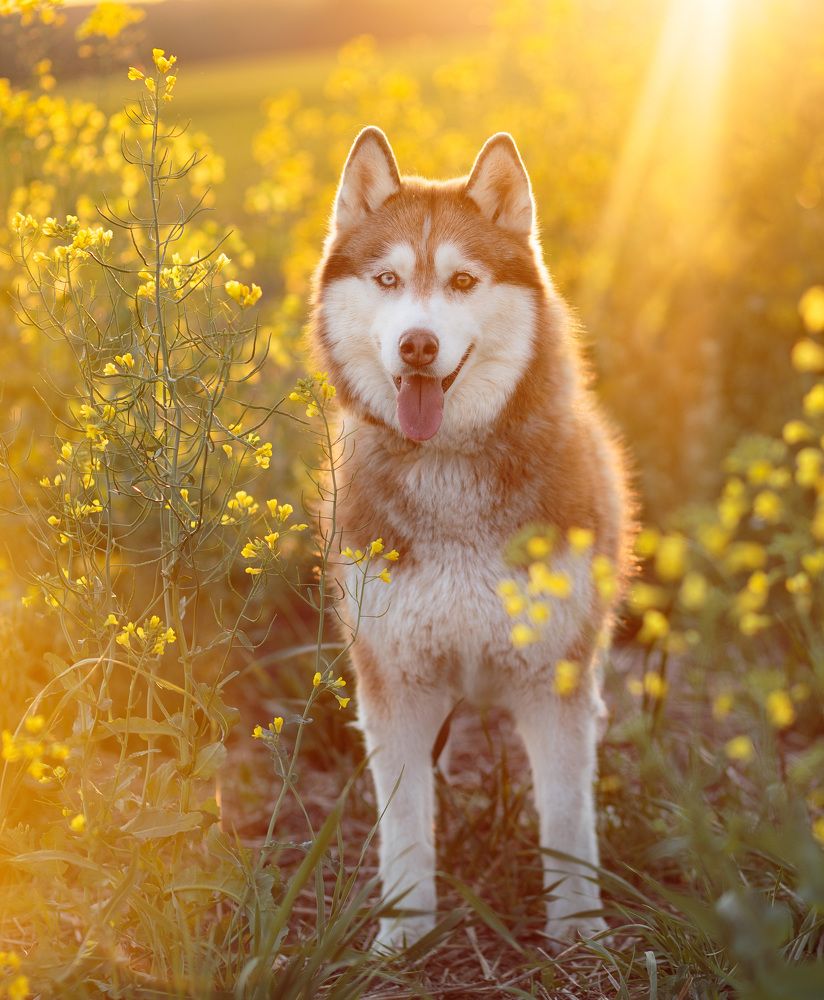 Photograph by Iryna Matvieienko