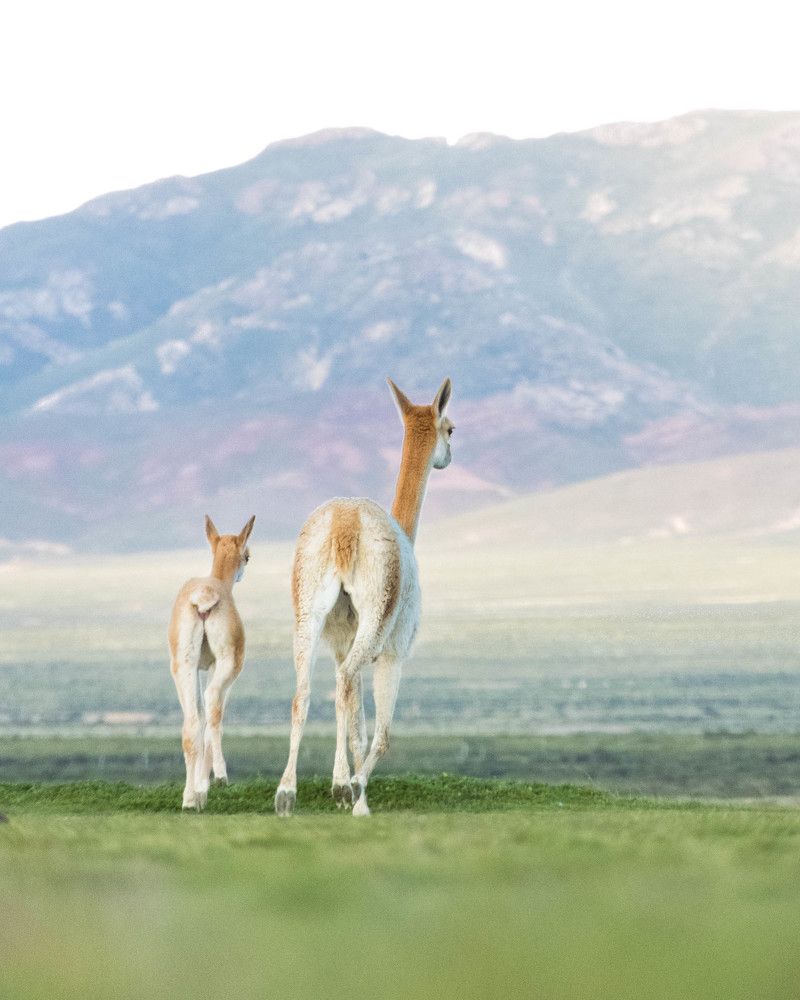 Photograph by Julian Hernandez