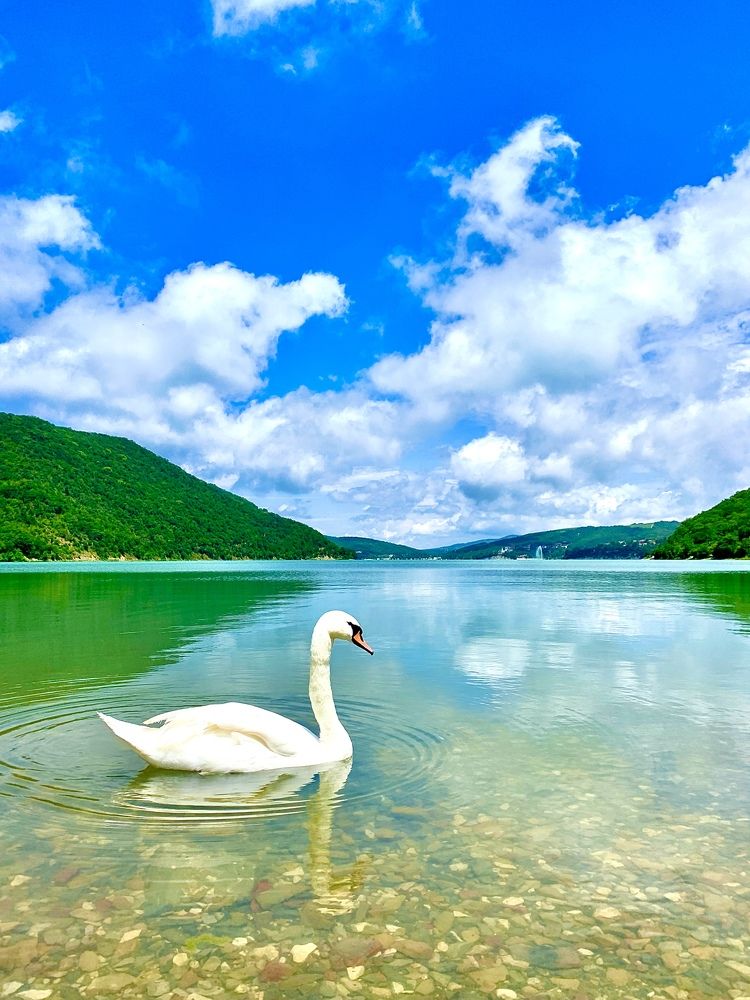 Photograph by Александр Белов