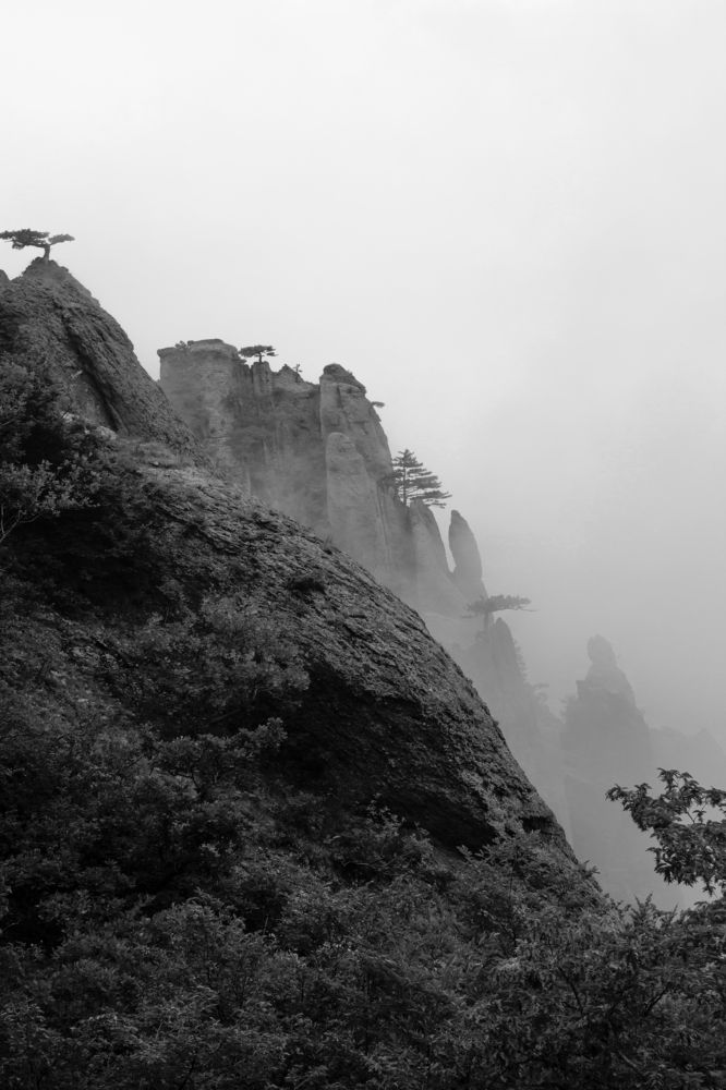 Photograph by Виктория Савчук