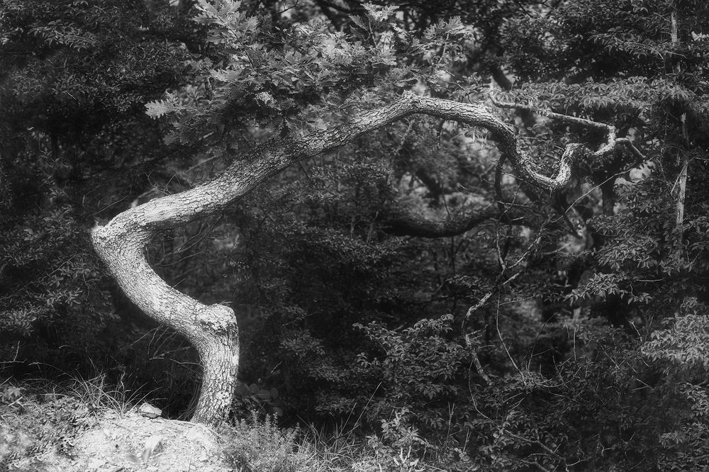 Photograph by Аседач Александр