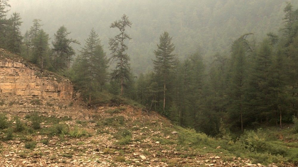 Photograph by Лада Денисова