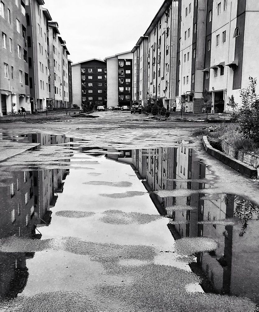 Photograph by Masoumeh Rahimi