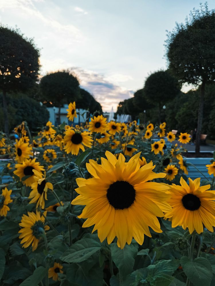 Photograph by Михаил Мартынов