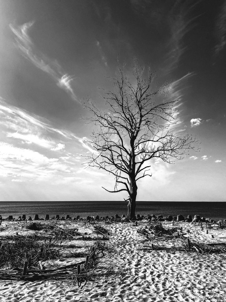 Photograph by Михаил Мартынов