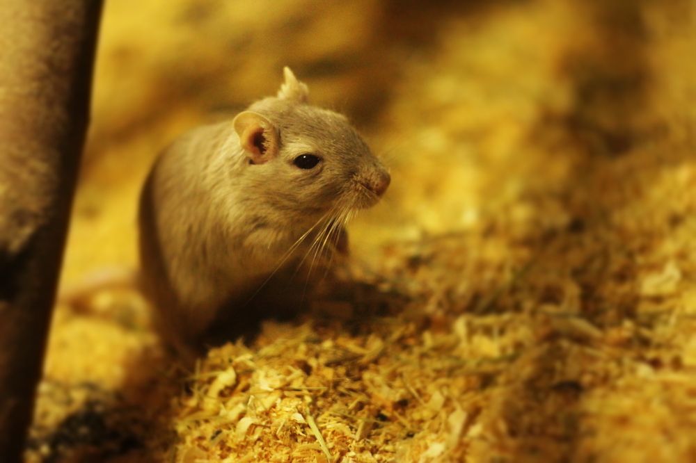 Photograph by Алиса Крумина