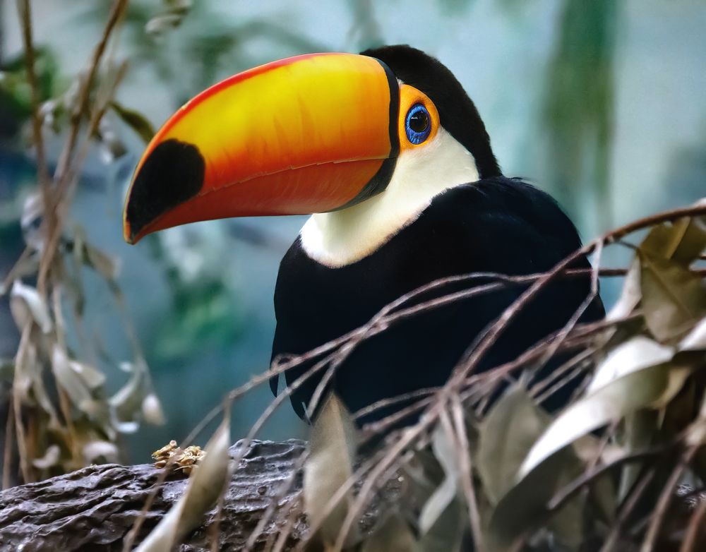 Photograph by Лариса Рулёва