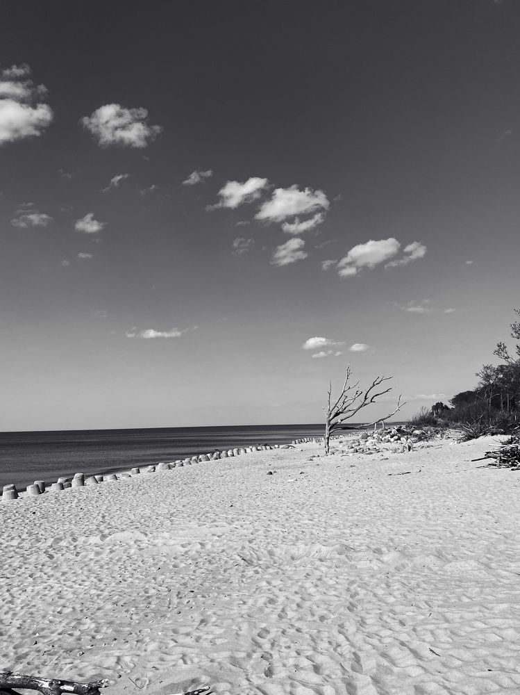 Photograph by Михаил Мартынов