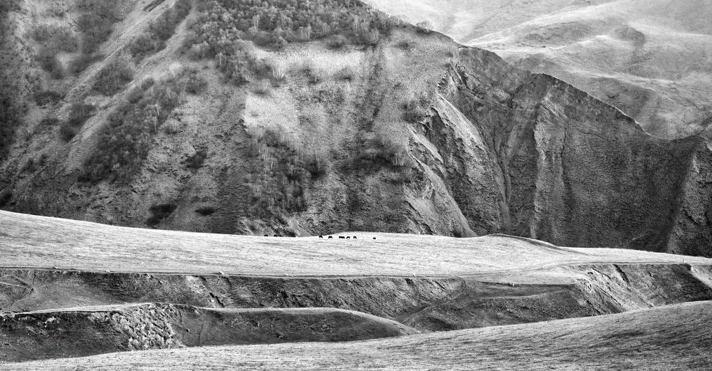 Photograph by Maxim Tarasyugin