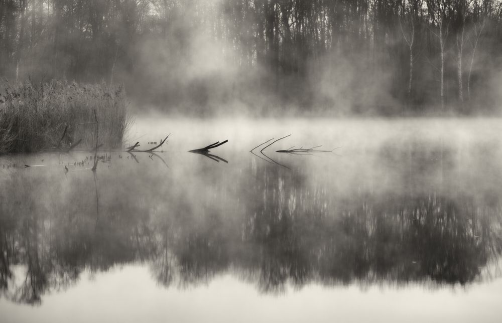 Фотография автора Edita Šidélková