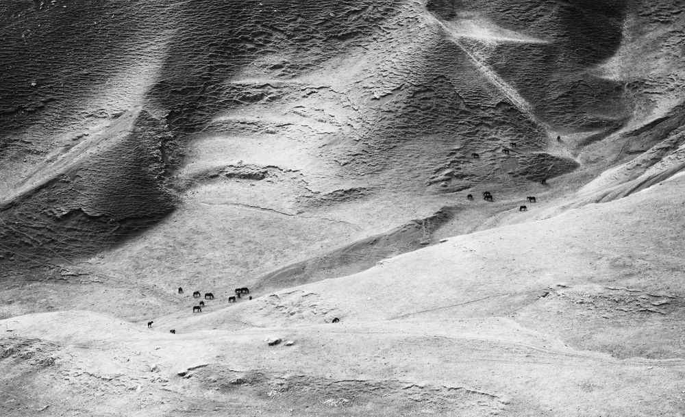 Photograph by Maxim Tarasyugin