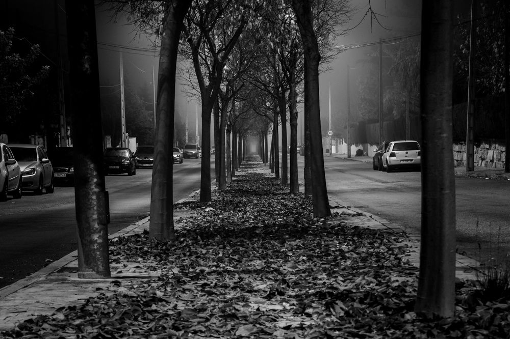 Photograph by Maksims Novikovs