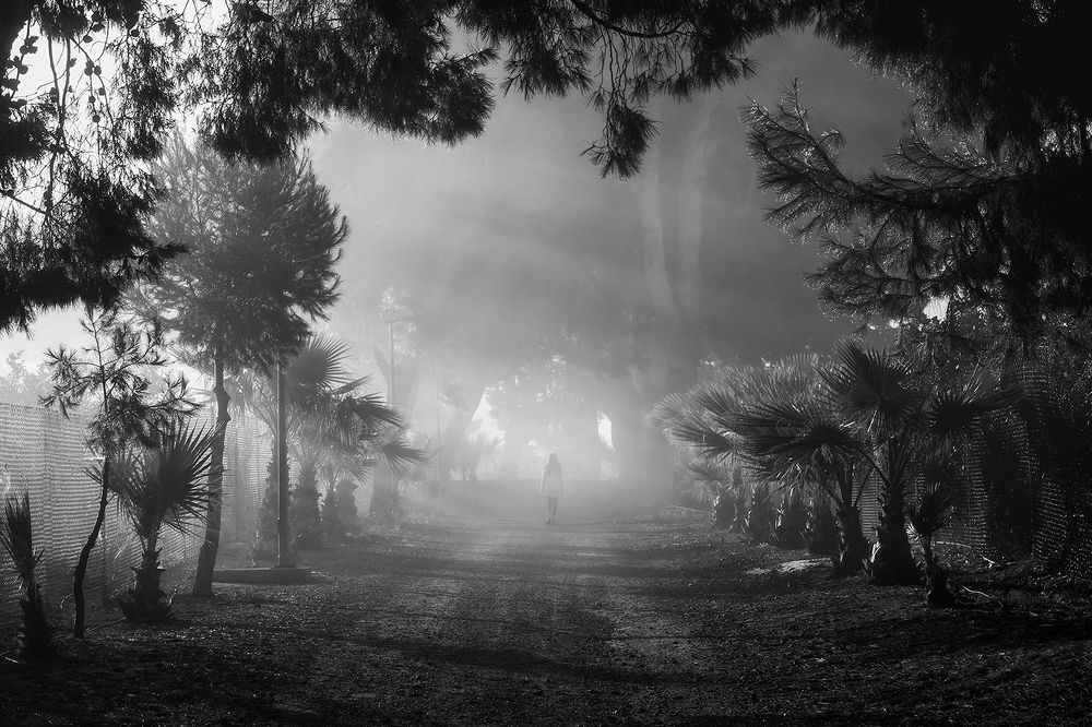 Фотография автора Eduardo Oliva Ramos