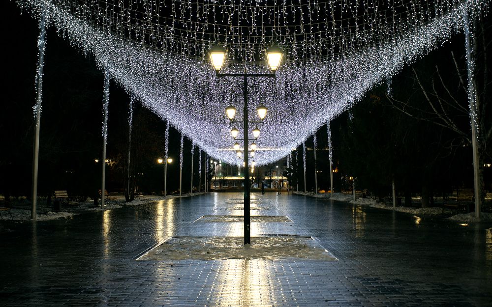 Фотография автора Alexander Komarov