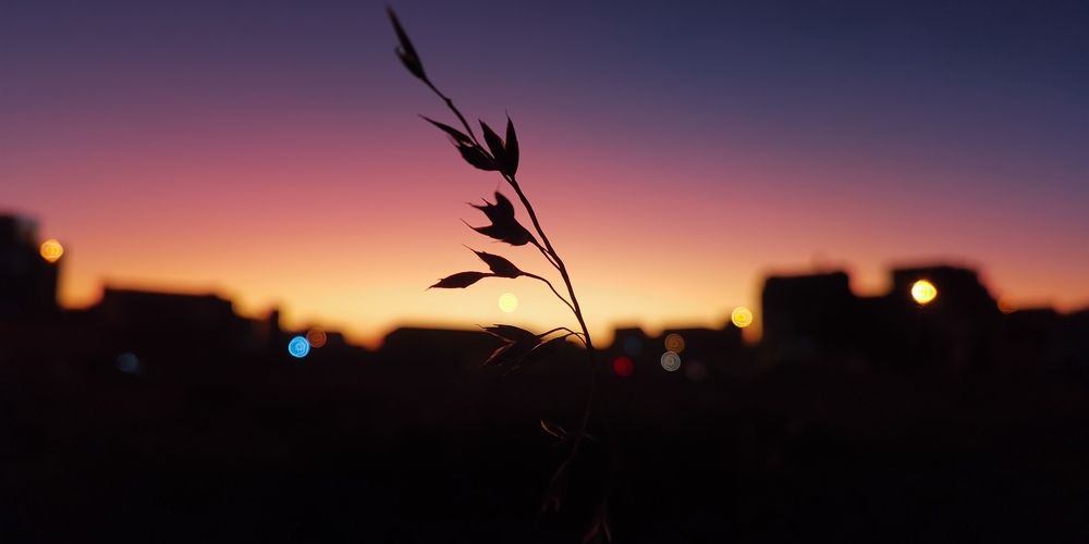 Photograph by Joe lobo