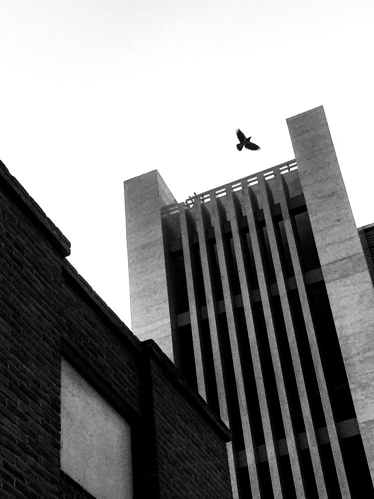 Photograph by Reza Mohammadi