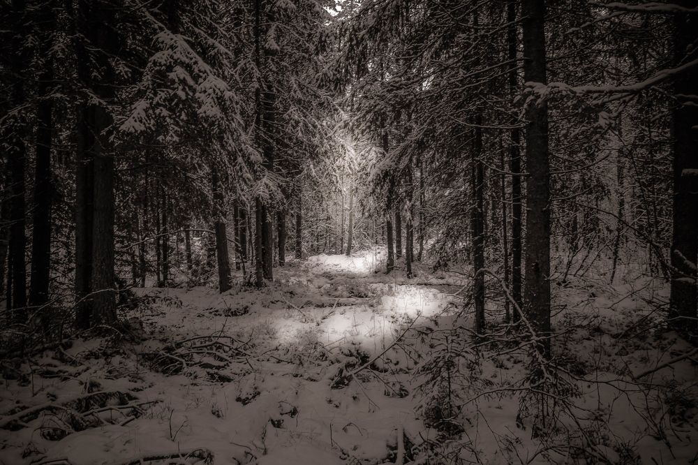 Photograph by Николай Константинов