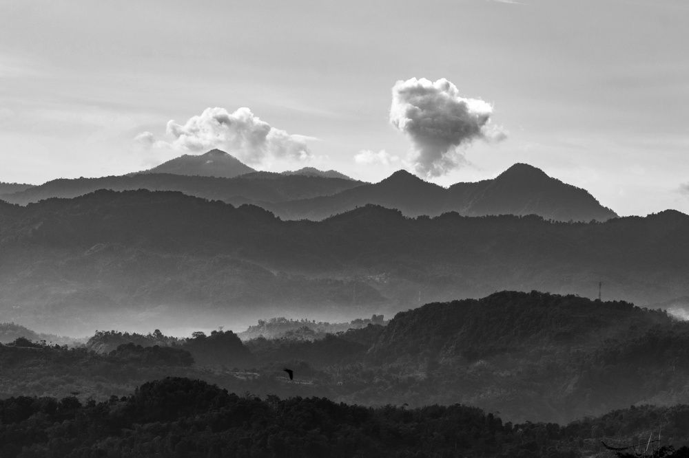 The hills
