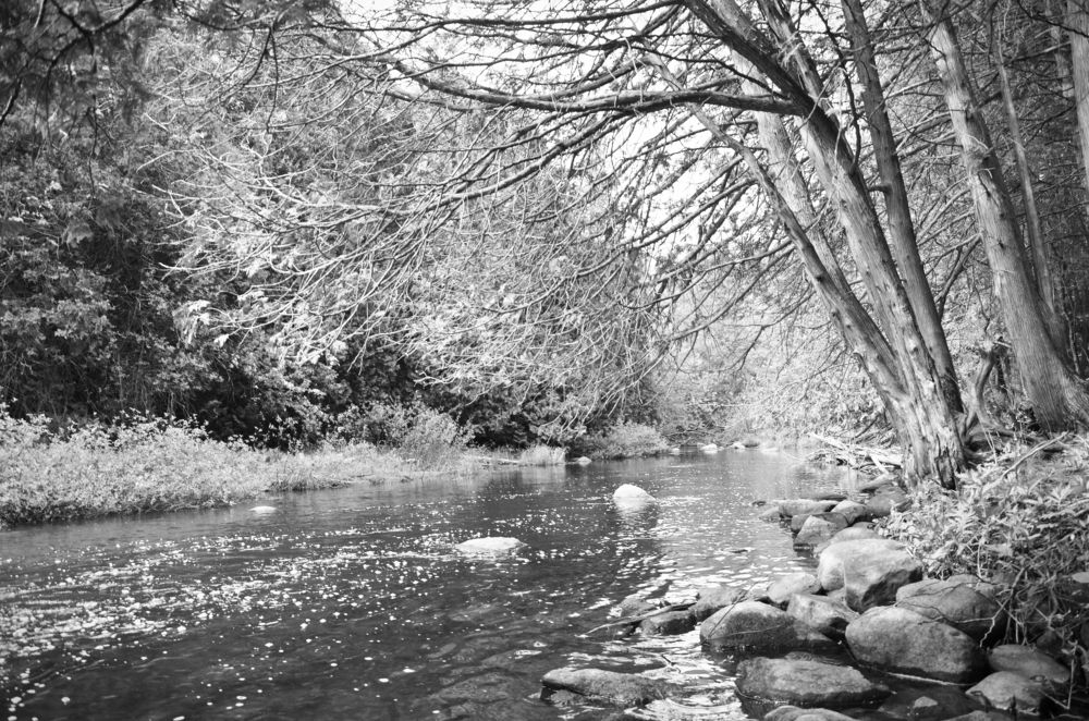 Photograph by Ken Oliver