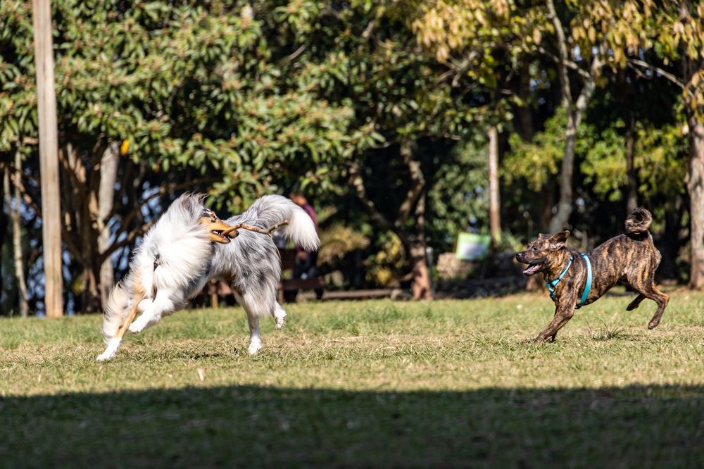 Photograph by Александр М.