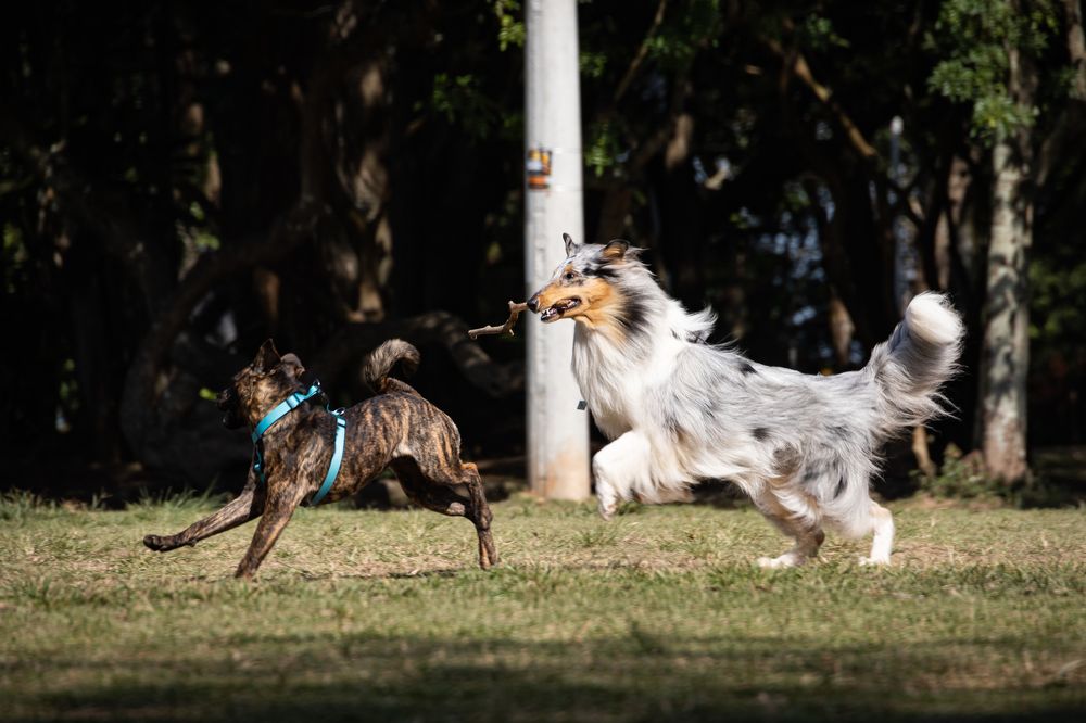 Photograph by Александр М.