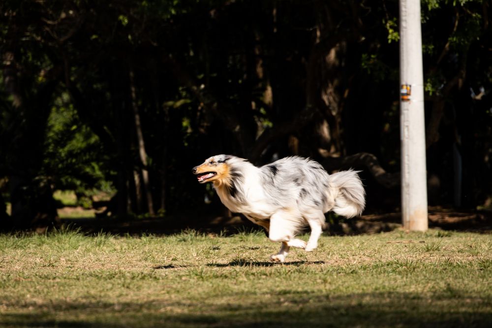 Photograph by Александр М.