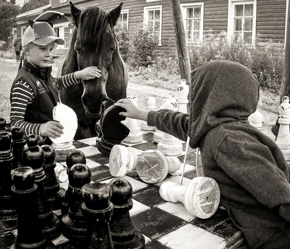 Photograph by Светлана Мамакина