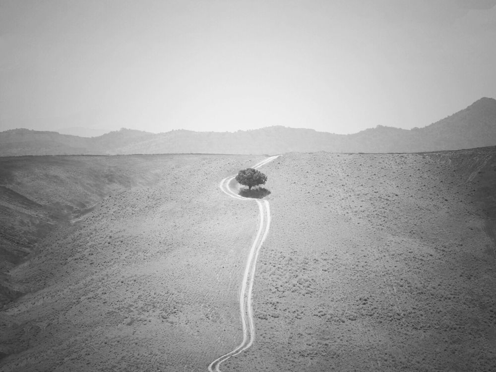 Фотография автора Alireza Bagheri sani