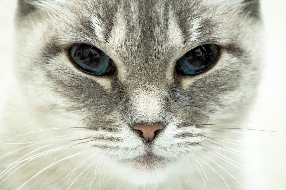 Фотография автора Алексей Школдин