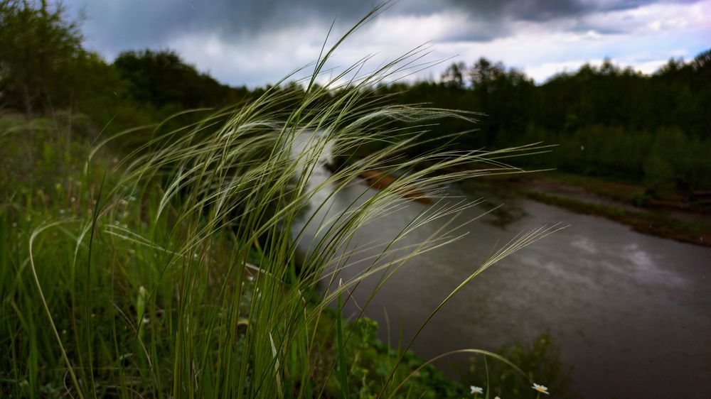 Photograph by Сергей Горбунов