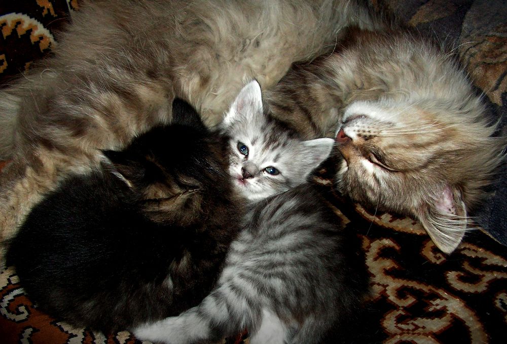 Photograph by Игорь Быков